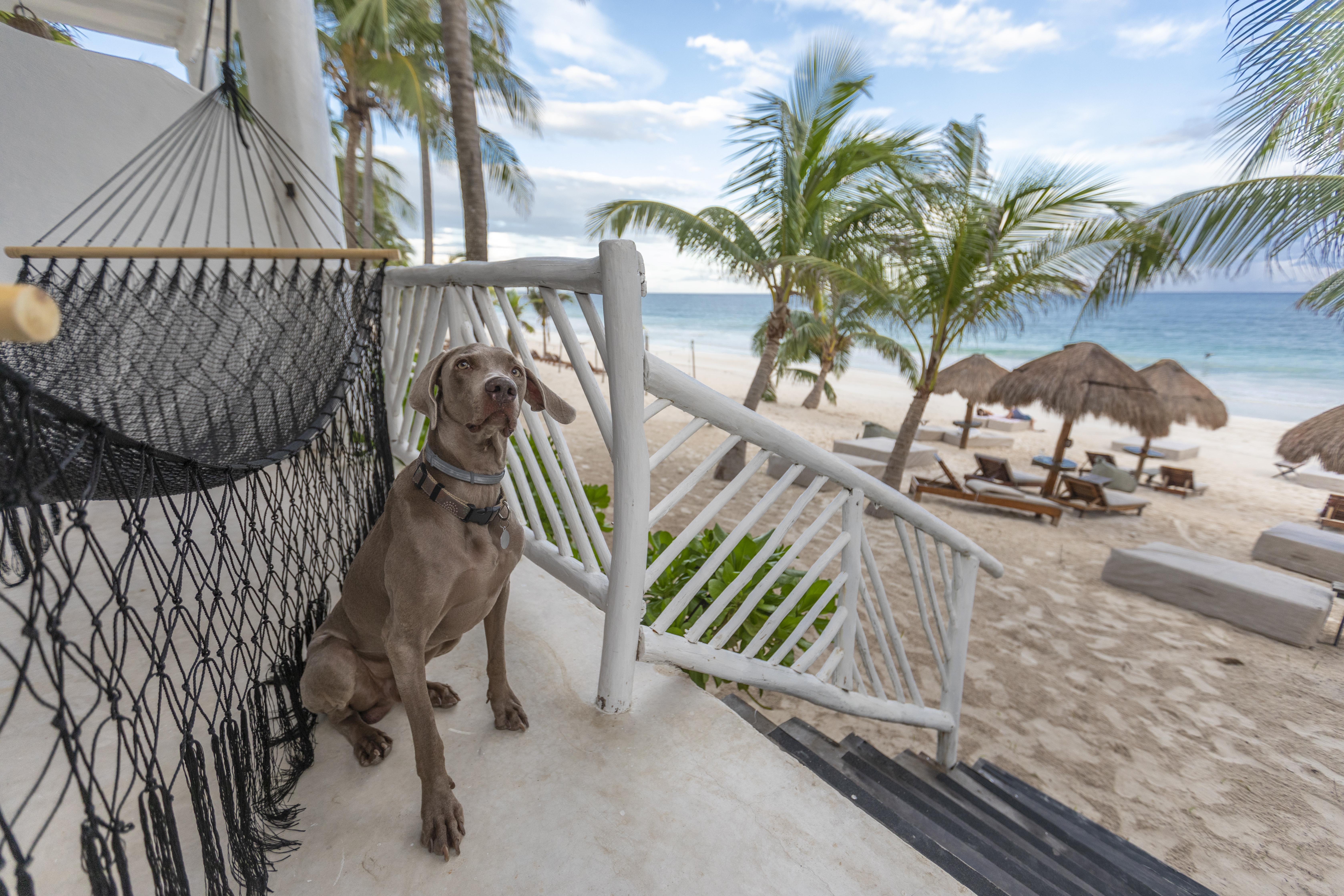 Los Amigos Beach Hotel Boutique Tulum Exteriör bild