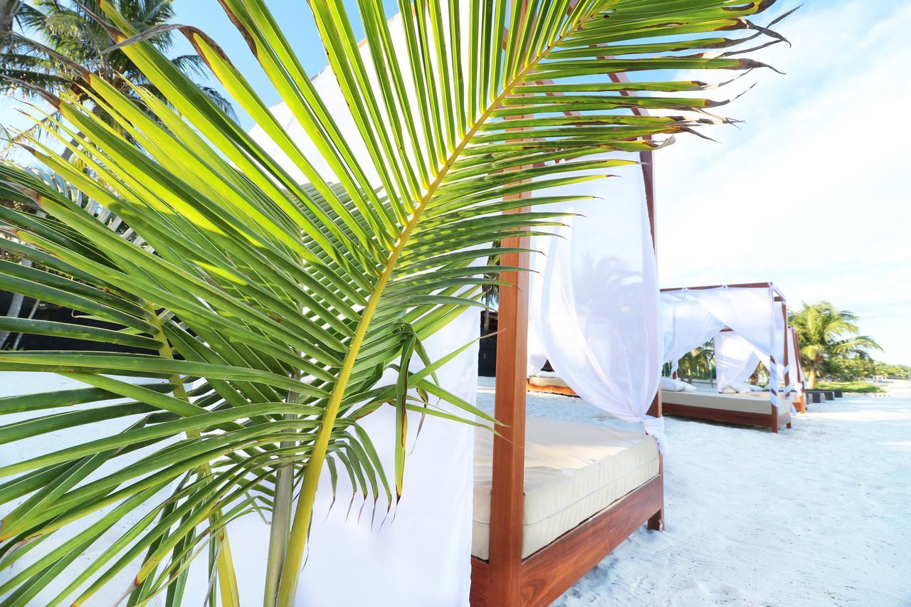 Los Amigos Beach Hotel Boutique Tulum Exteriör bild